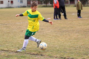 九游网页版官网-中国足球青年运动员营养科学支持体系建设，足球运动员营养膳食